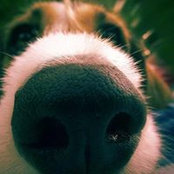Elena Atanasiu's photo