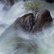 Michele Hoffman's photo