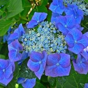 Mary Michailoff's photo