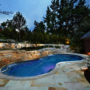Outdoor Inground Swimming Pools: Freeform