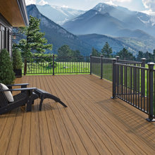 Decking Marigold
