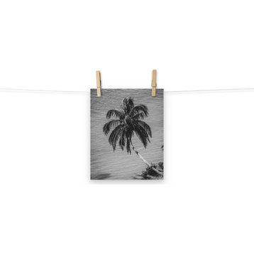 Palm Over Water Black and White Tropical Botanical Unframed Wall Art Print, 8" X 10"