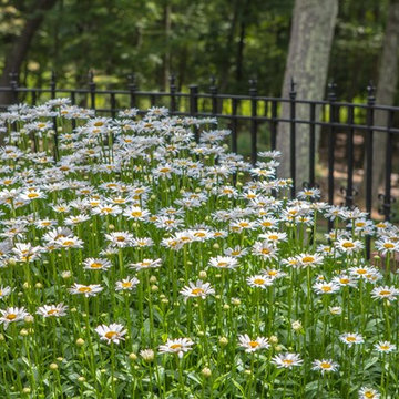 Gardens!
