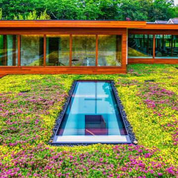 SkyFloor Walkable Skylights Series