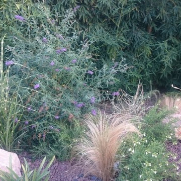 Création d'un jardin