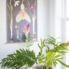 Kids Rooms