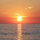 lori_austin