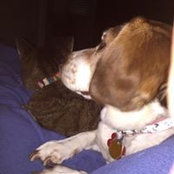 Nora Ventresca's photo
