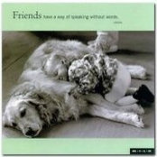 Dawn Sharpe's photo
