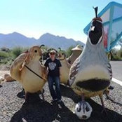 Barbara Lang's photo