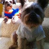 Rick-Bucky Bateman's photo
