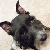 Theresa Arvay's photo