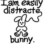 Barbara Sinclair's photo
