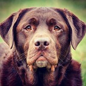 Chris Rusnak's photo