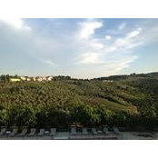 Diane Tomasello's photo