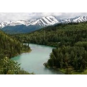 Mike Aughney's photo