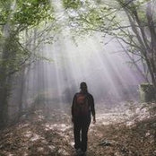 Veronica Lenzi's photo