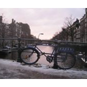 Sam Groberg's photo