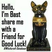 Diane Ballard's photo