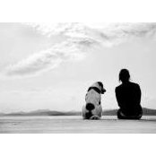 Hend Elwakel's photo