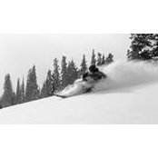 Kevan Dee's photo
