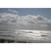 Laurel Jackson Johnson's photo