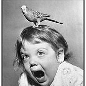 Diane Piotrowski's photo