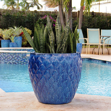 Palm Beach Container Gardens