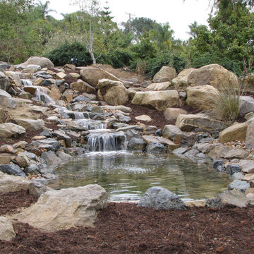 Koi Pond