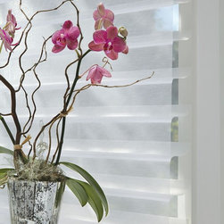 Sheers and Shadings - Window Treatments