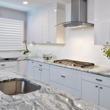 Contemporary White Kitchen