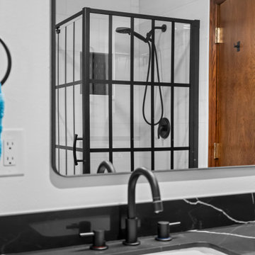 South Washington Street Bathroom Remodel, Denver