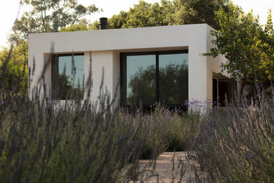 Modern garden in Santa Barbara.