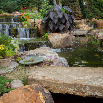 Tree and Waterfall Inspired Backyard