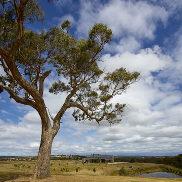 Hill Plains House