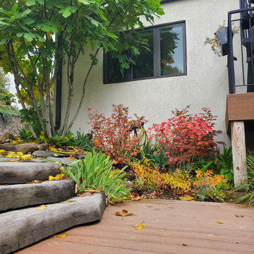Pollinator Friendly Paradise