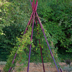 Annabel Tipi Trellis - Pergolas