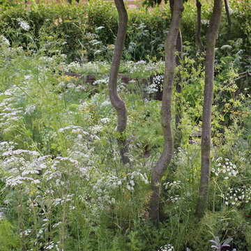 Hampton Court Flower Show