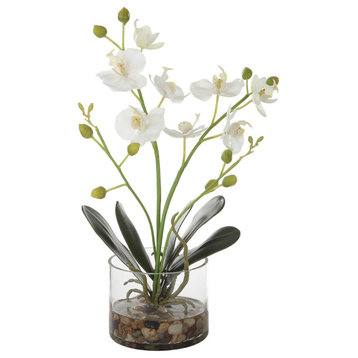 Uttermost UT-60201 Artificial Flower from the Glory
