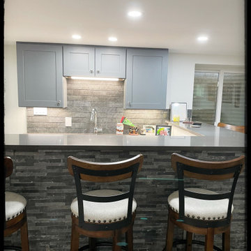 Westminster House Renovation