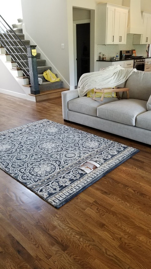 Rug aRoo What shall I do?