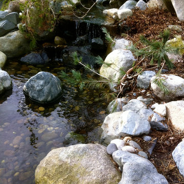 Water Features