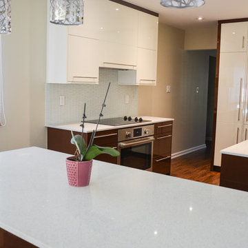 Aurora Project - Modern Kitchen