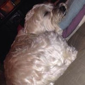 Jackie Doolin's photo