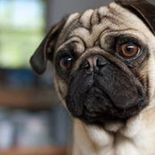 Sam McJunkin's photo