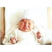 Wumpsey Ward's photo