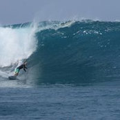 Nick Goldsmithさんの写真