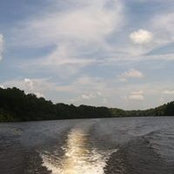 Cindy Haddock's photo