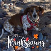 Rietta Squires's photo
