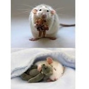 Leanne Cooper's photo